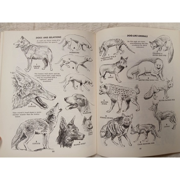 How To Draw Animals by Jack Hamm Paperback 1969 - Picture 6 of 7